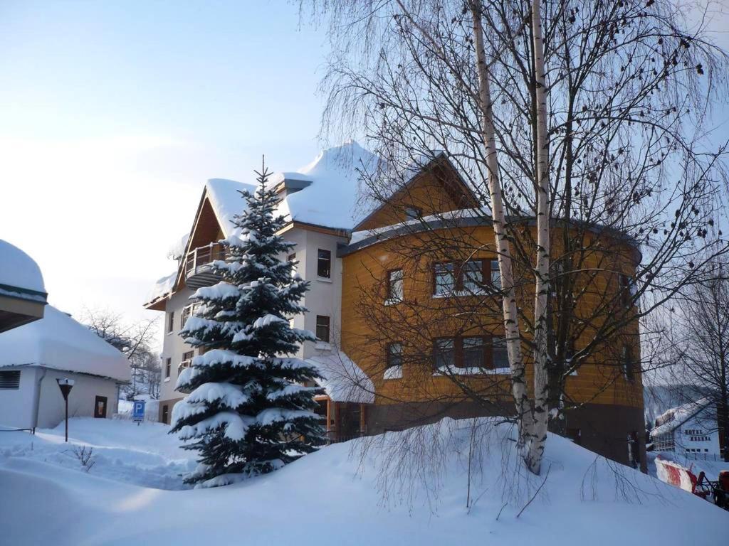 Apartman Modra Hvezda Rokytnice nad Jizerou Exterior photo